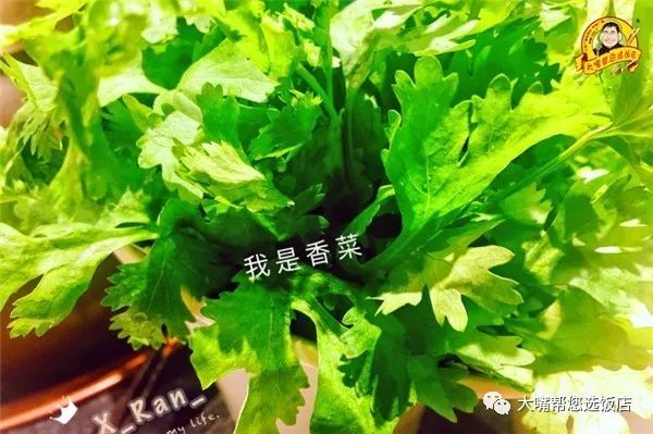 火狐电竞官网