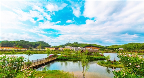 火狐电竞官方网站