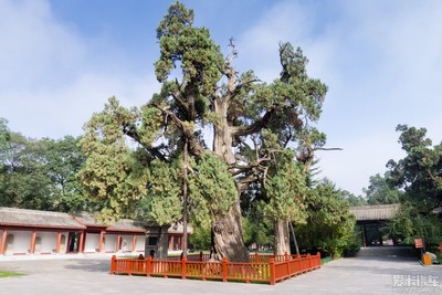 火狐电竞官方网站