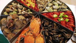 火狐电竞官方网站