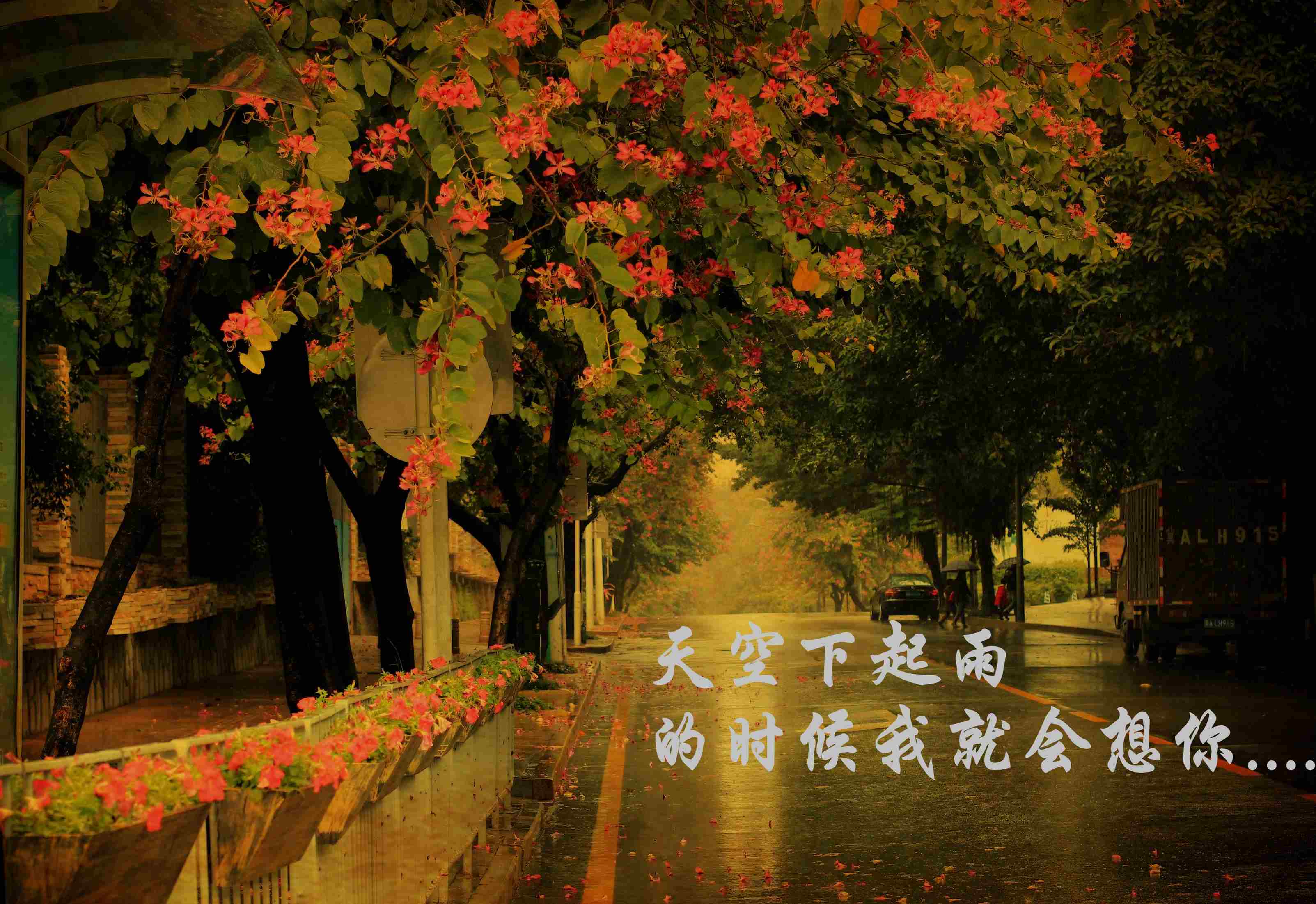 火狐电竞官方网站