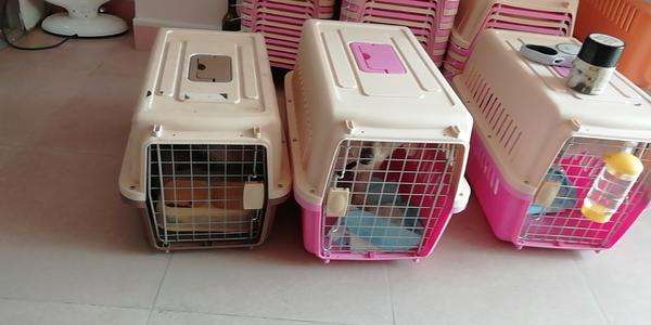 火狐电竞官方网站