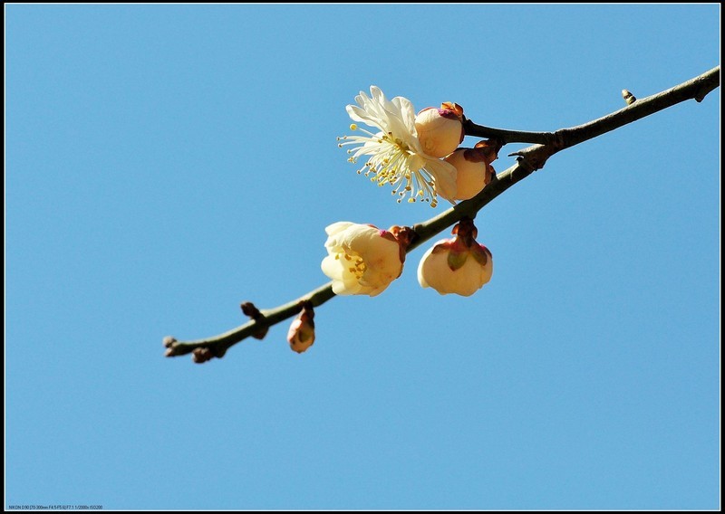 火狐电竞官方网站