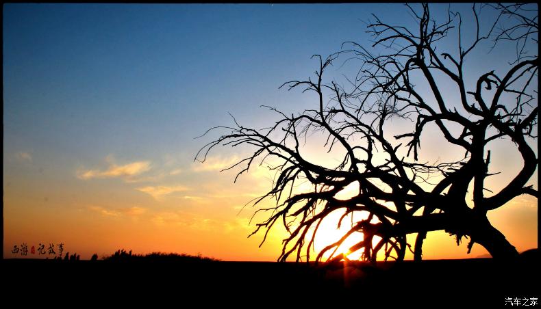 火狐电竞官方网站